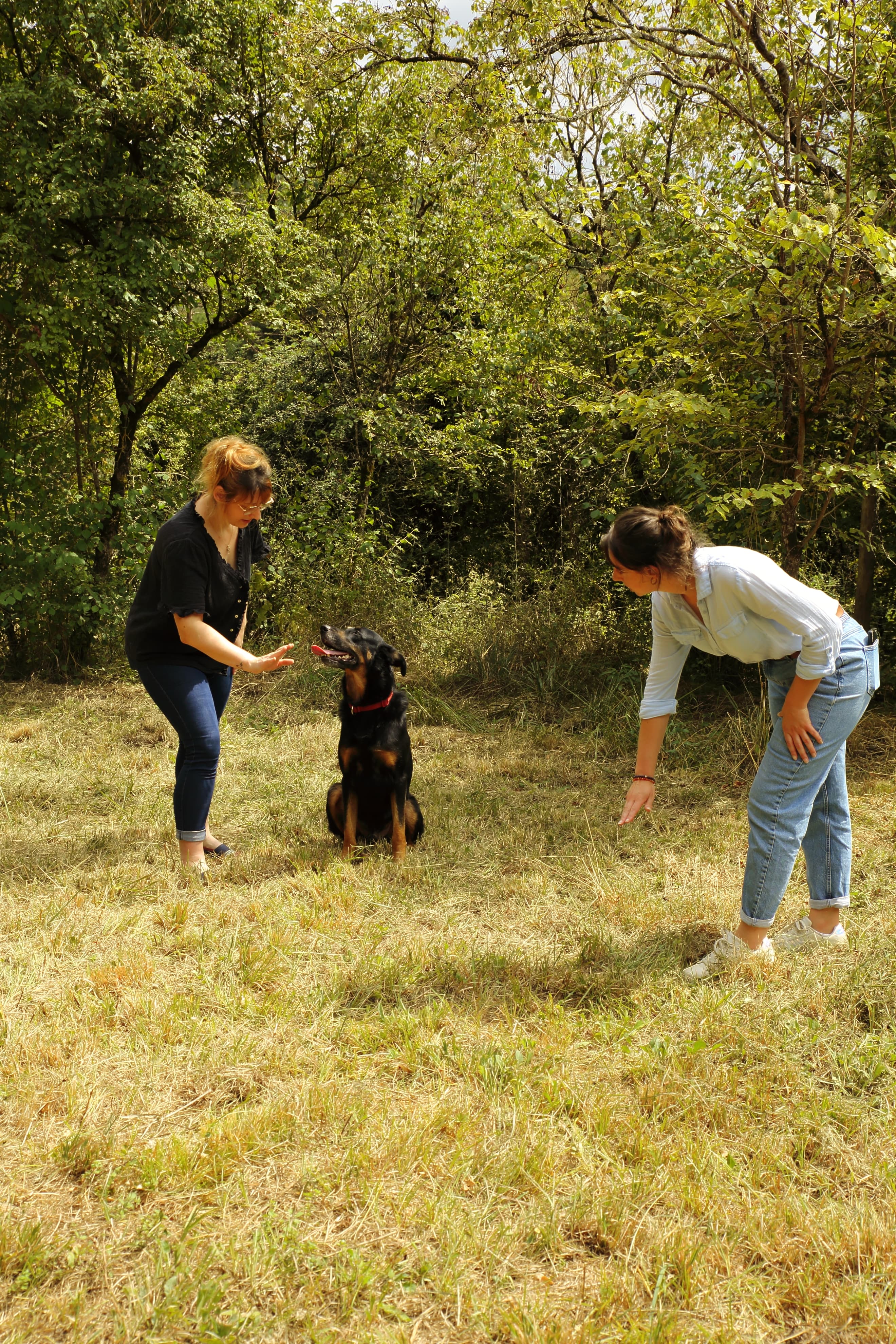 Une personne participant à un cours individuel avec son chien, sous l'encadrement de Camille, illustrant une approche personnalisée de l'éducation canine